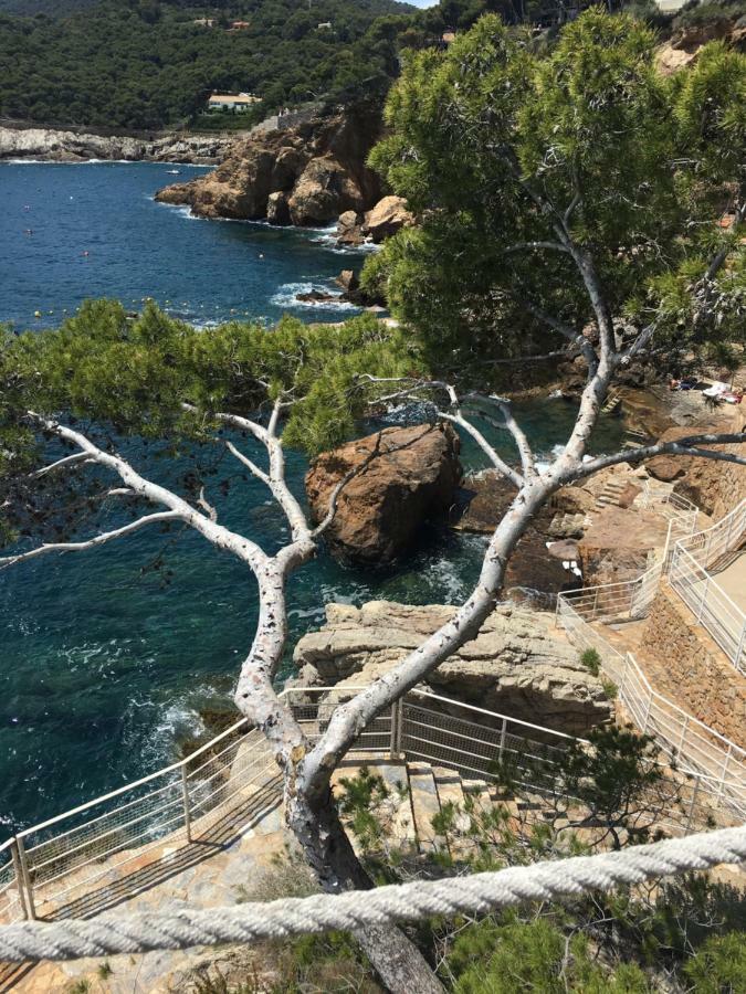 Апартаменты Cap Sa Sal - Sa Roca 2 Бегур Экстерьер фото
